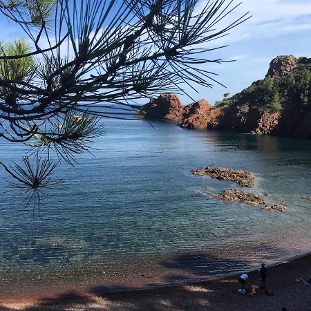 Les Alizes Côté Piscine Proche Bord De * Saint-Raphaël