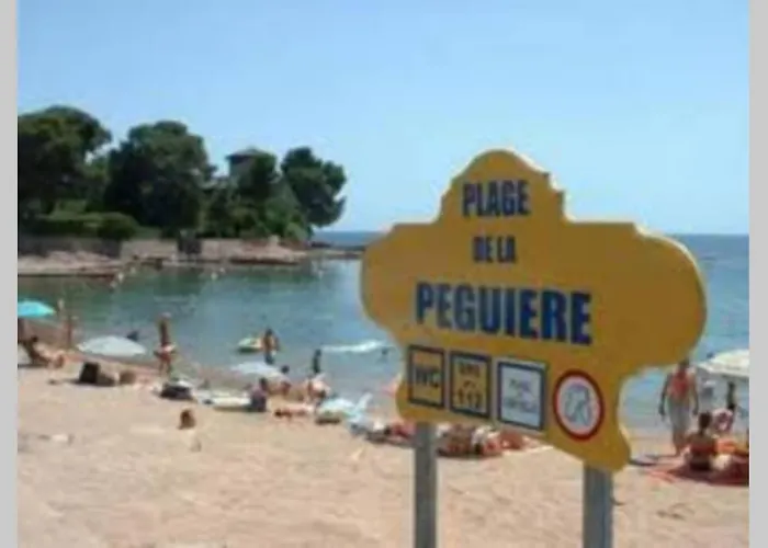 Les Alizes Côté Piscine Proche Bord De * Saint-Raphaël